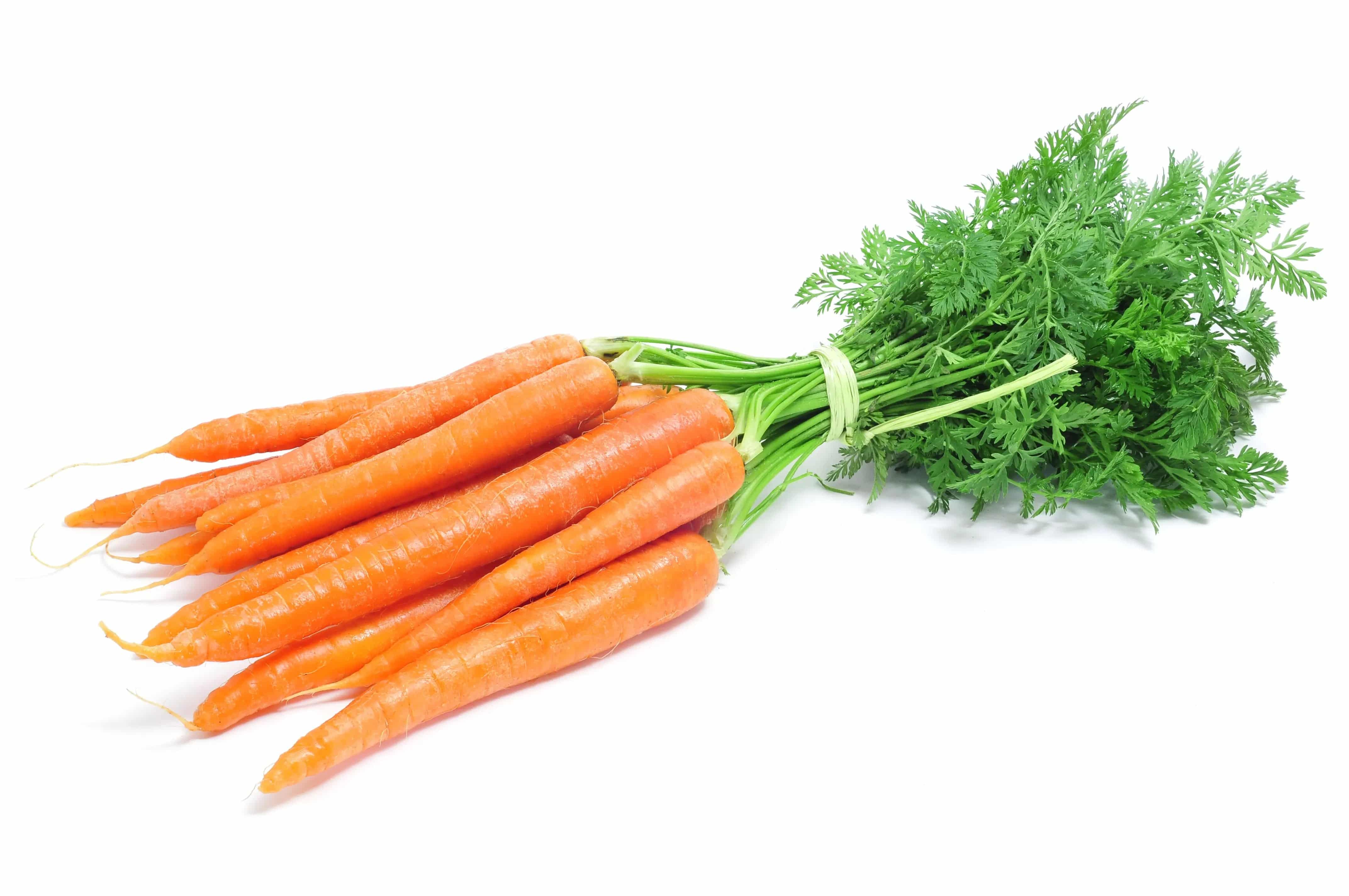 Organic Carrot