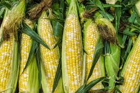 Organic Corn